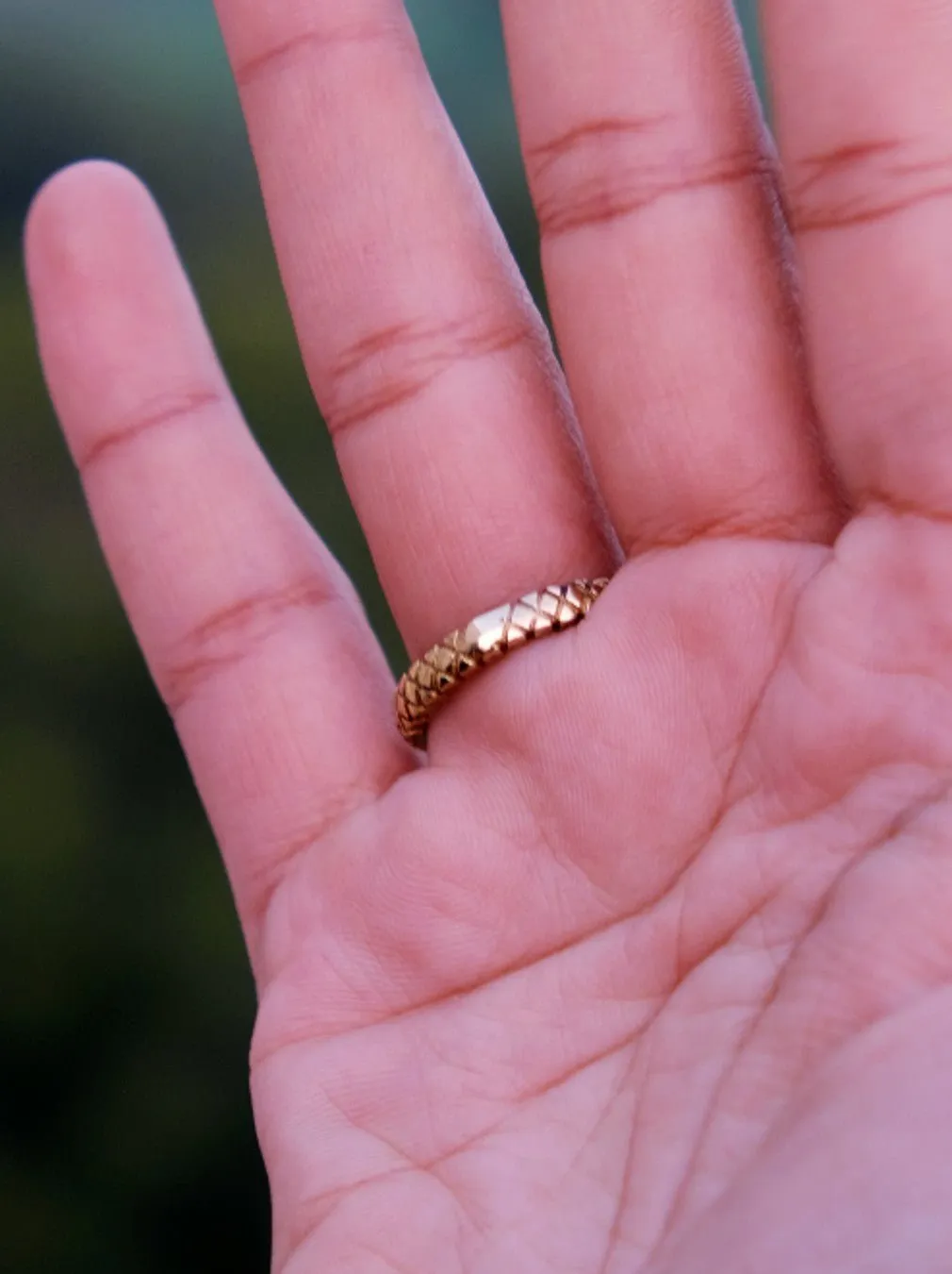 Ouroboros Rings