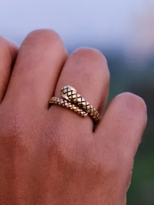 Ouroboros Rings
