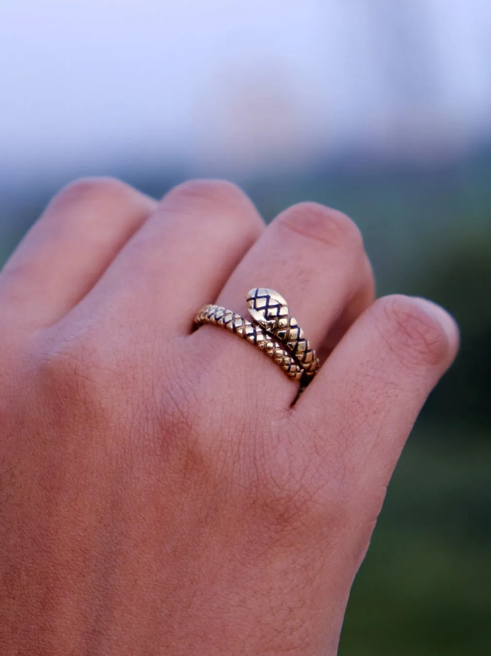 Ouroboros Rings