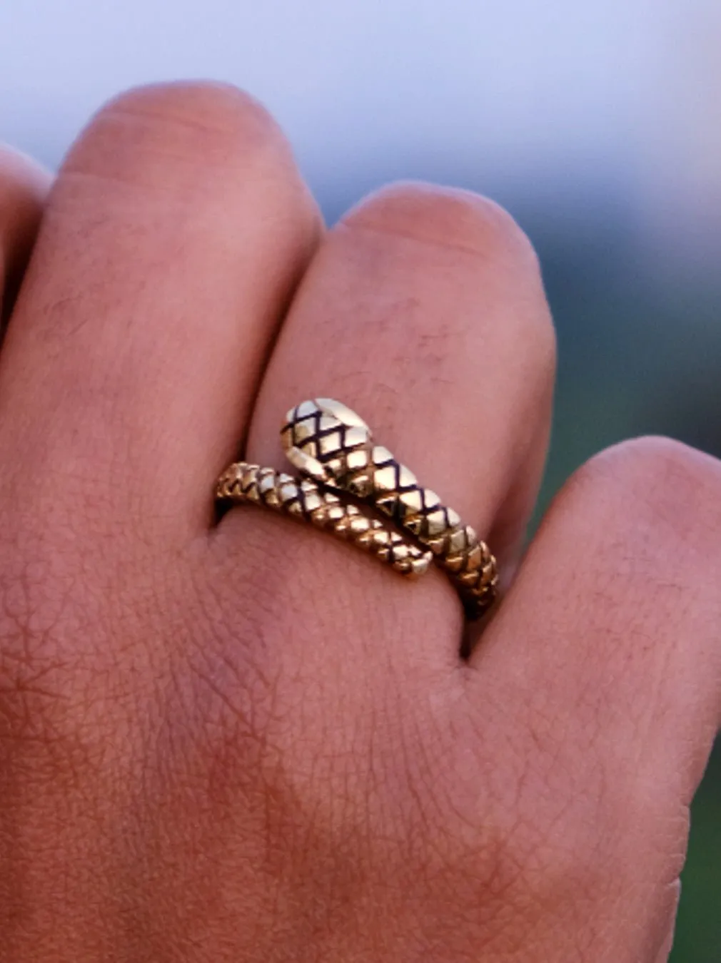 Ouroboros Rings